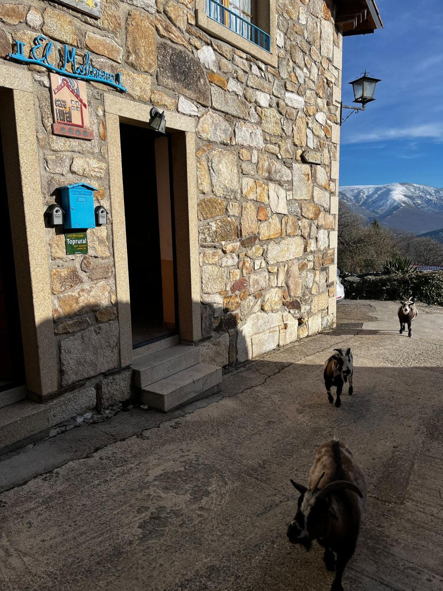 El Molinero