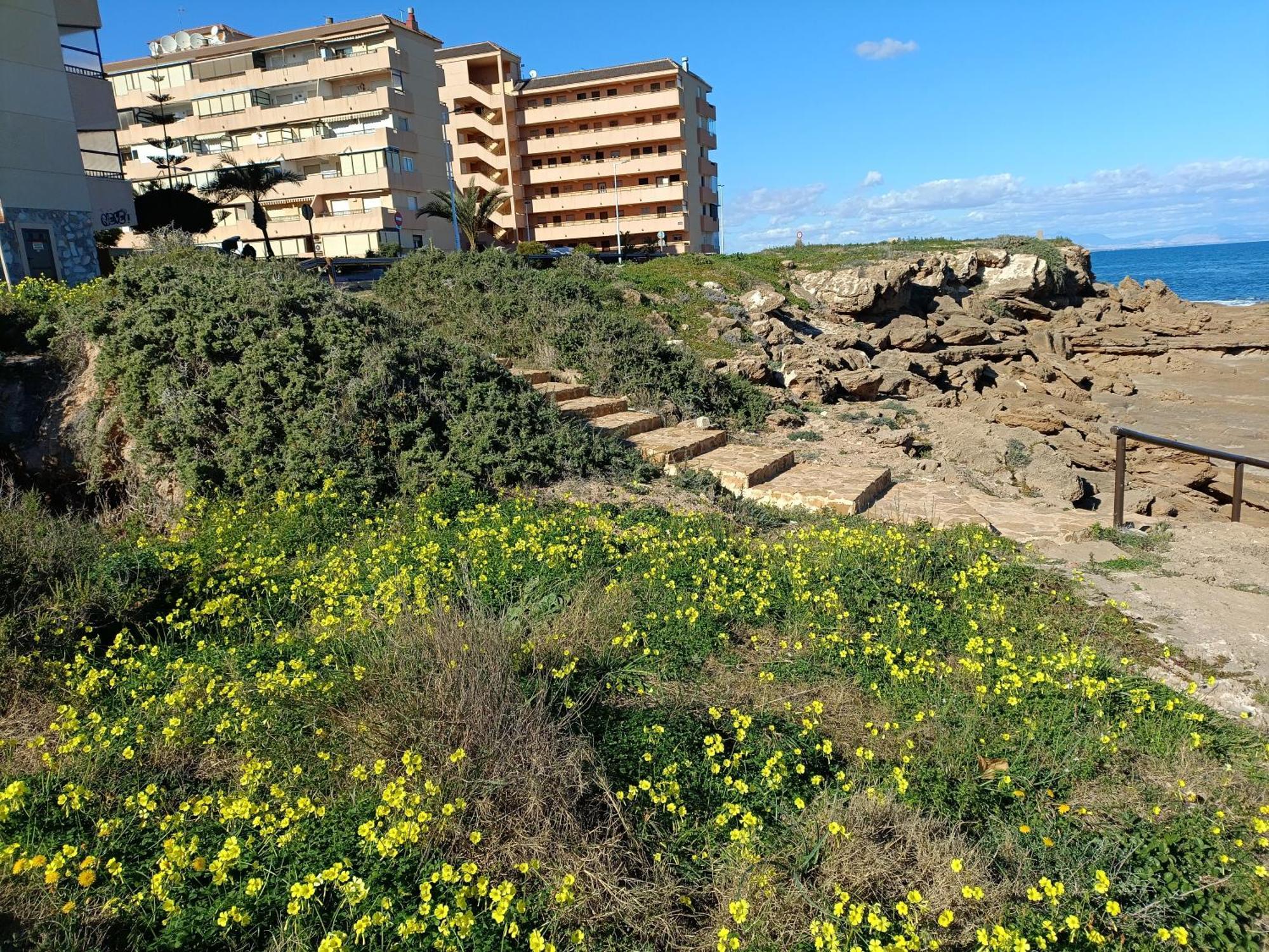 Apartment Miramar *