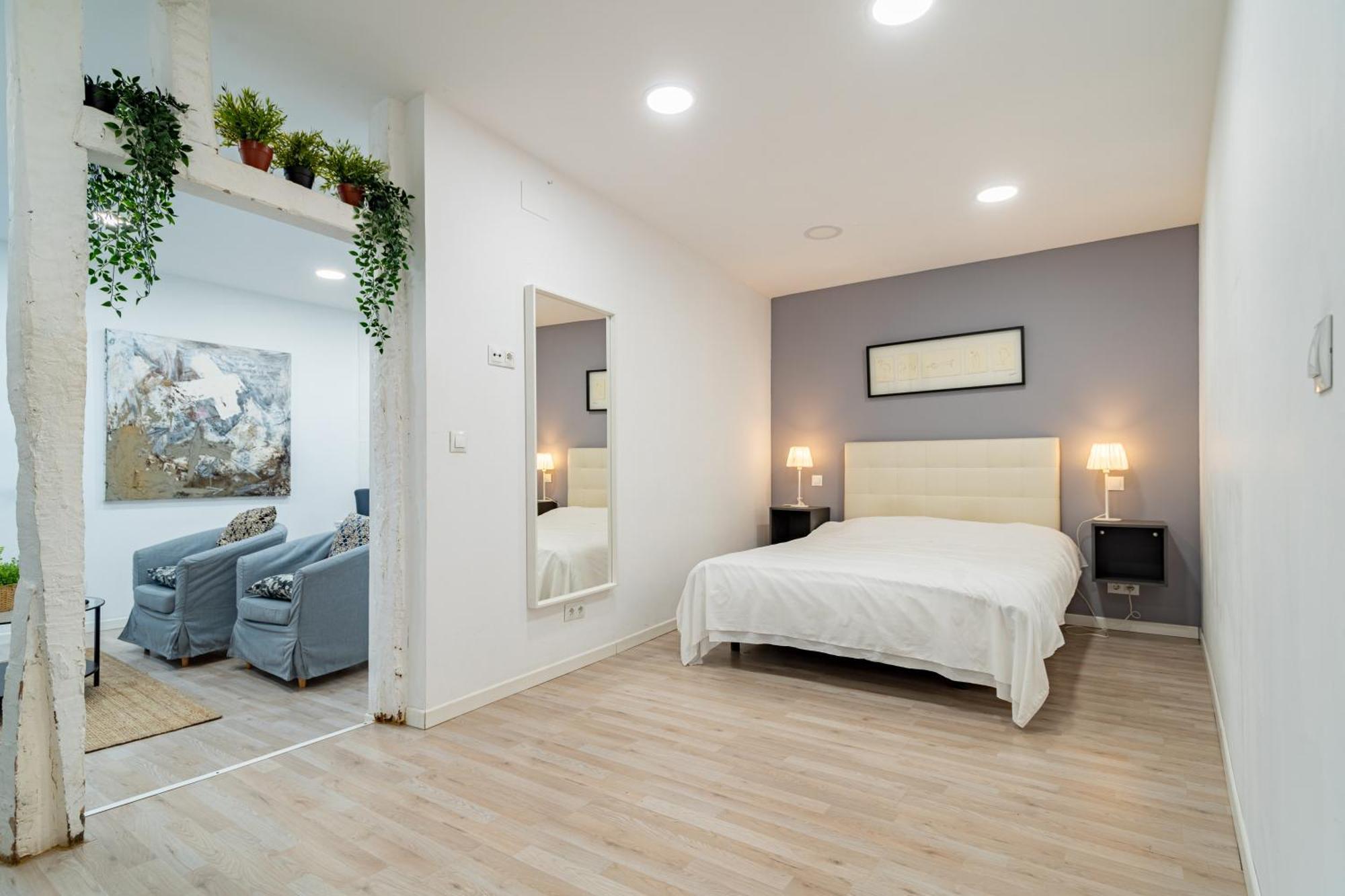 Apartamento Plaza Mayor 10 Valladolid