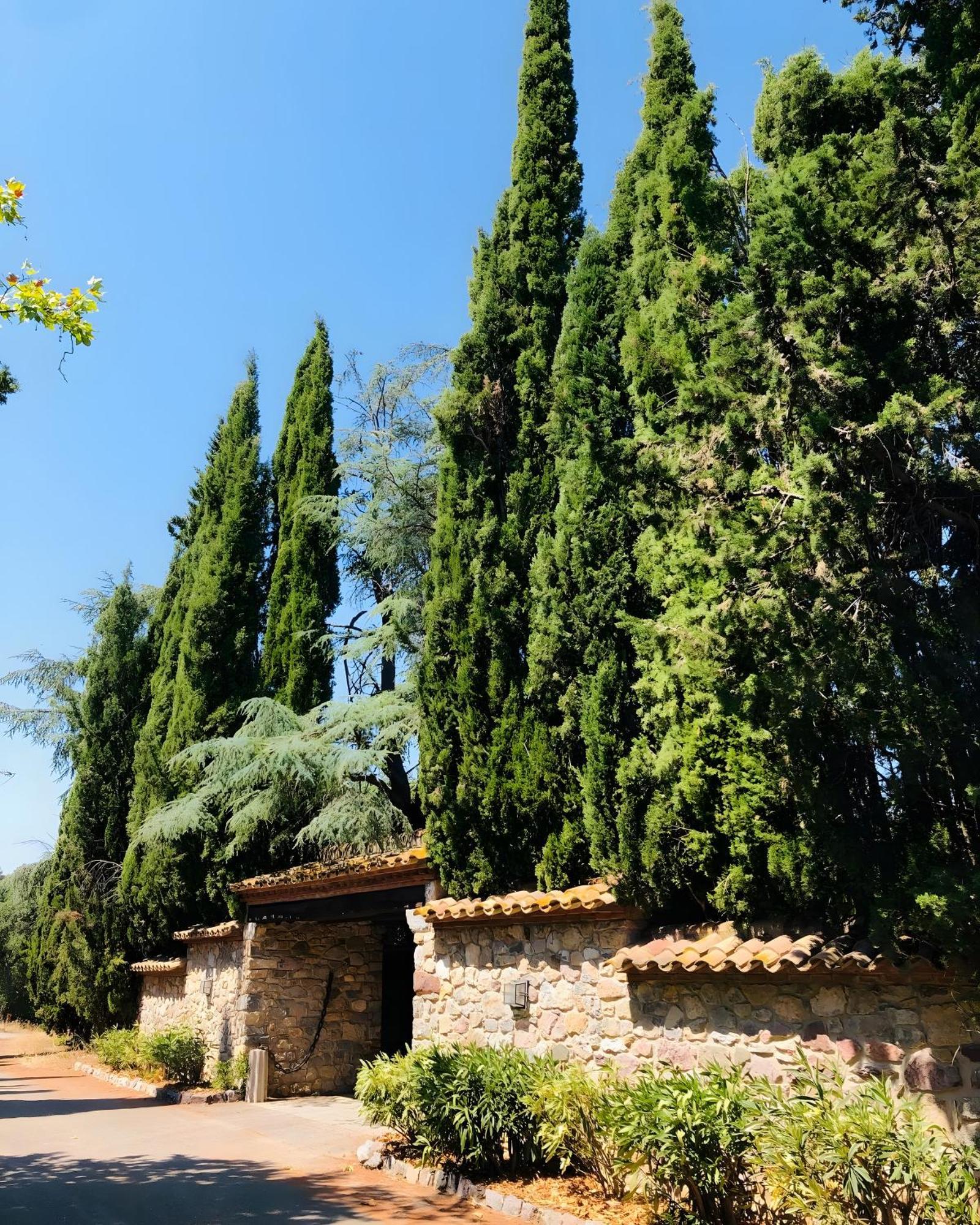 Masia Mimosa Jardin Villa *