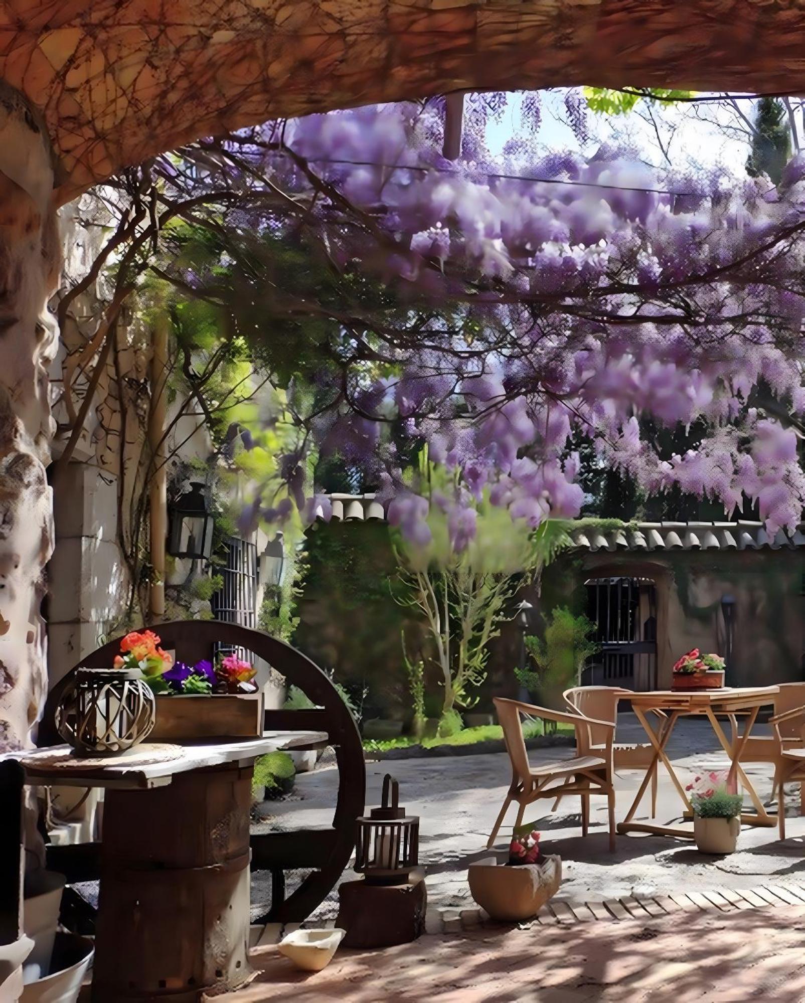Villa Masia Mimosa Jardin *