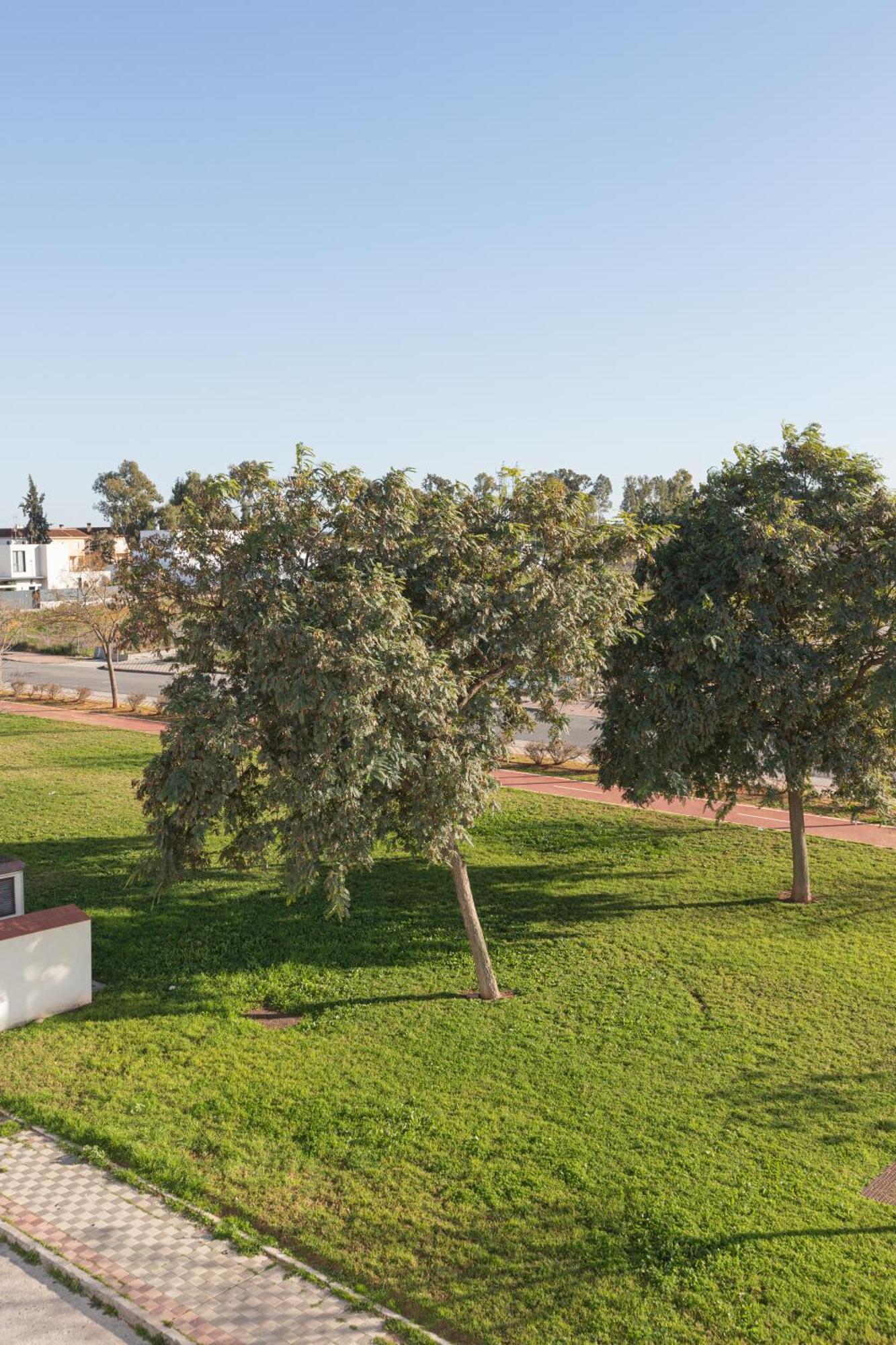 Apartamento El Merendero