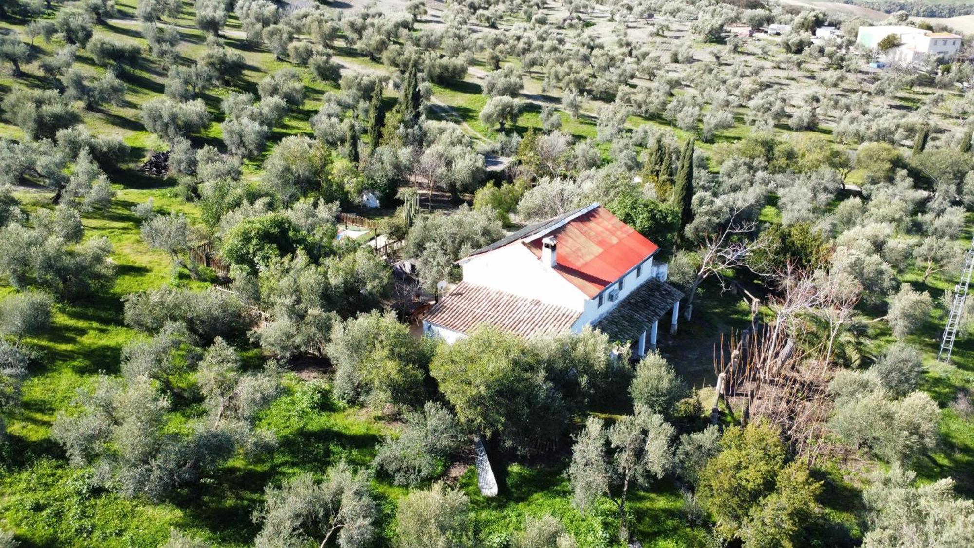Privada Belen Сasa de vacaciones Pruna