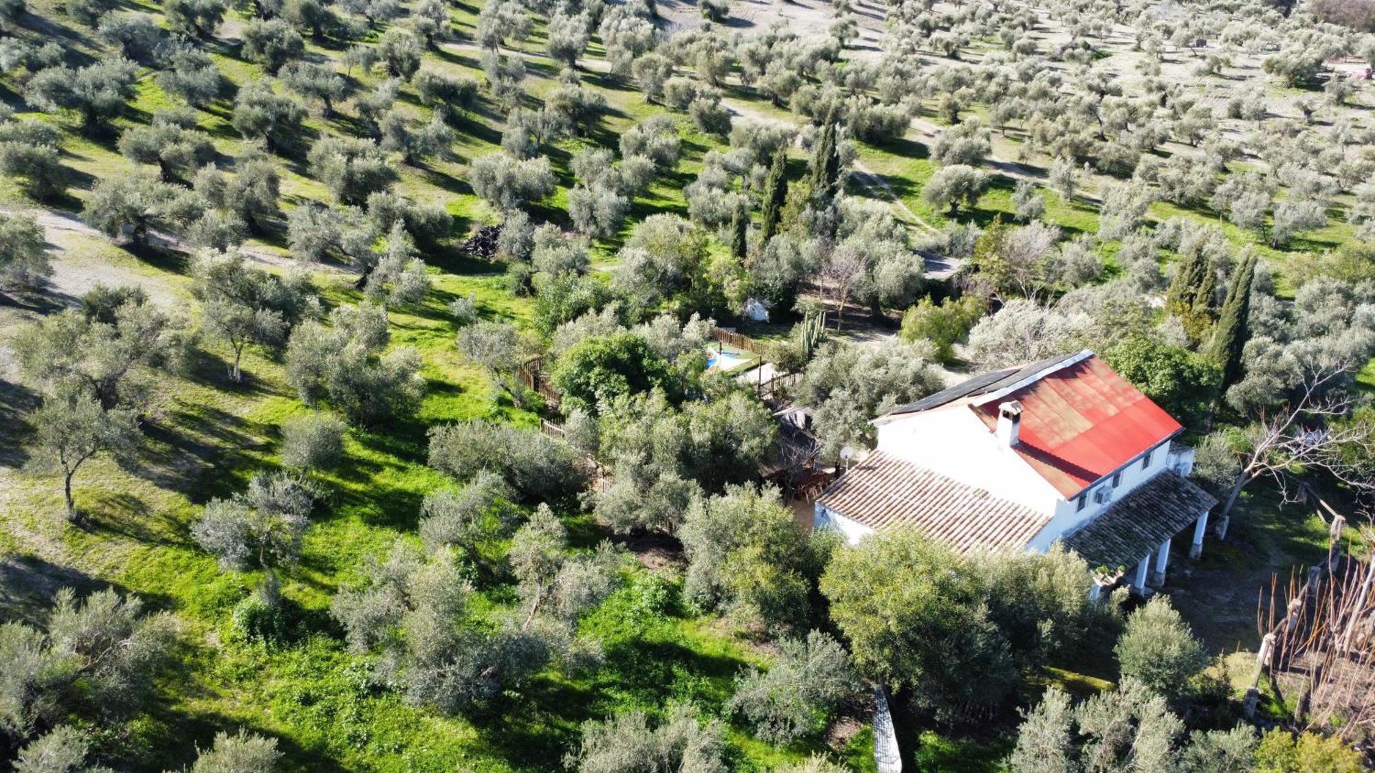 Privada Belen Сasa de vacaciones