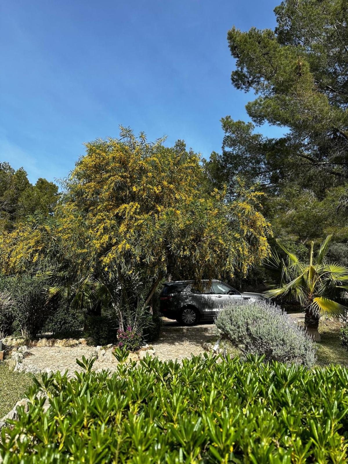 Royal Hideaway & Retreat Son Font Calvià