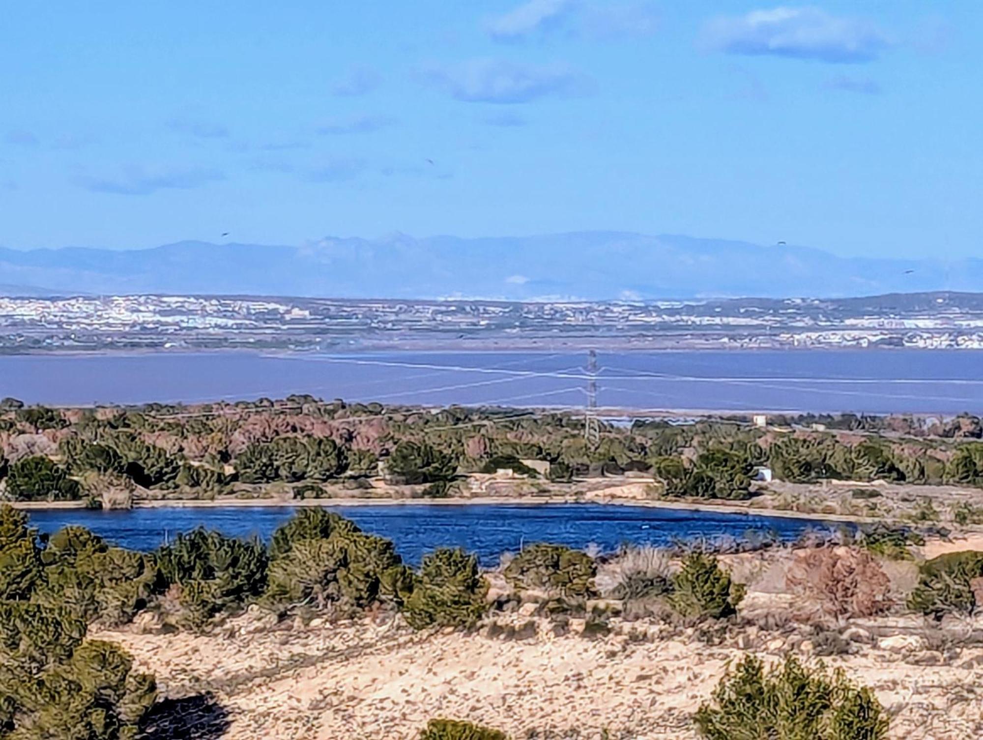 Martin * San Miguel De Salinas
