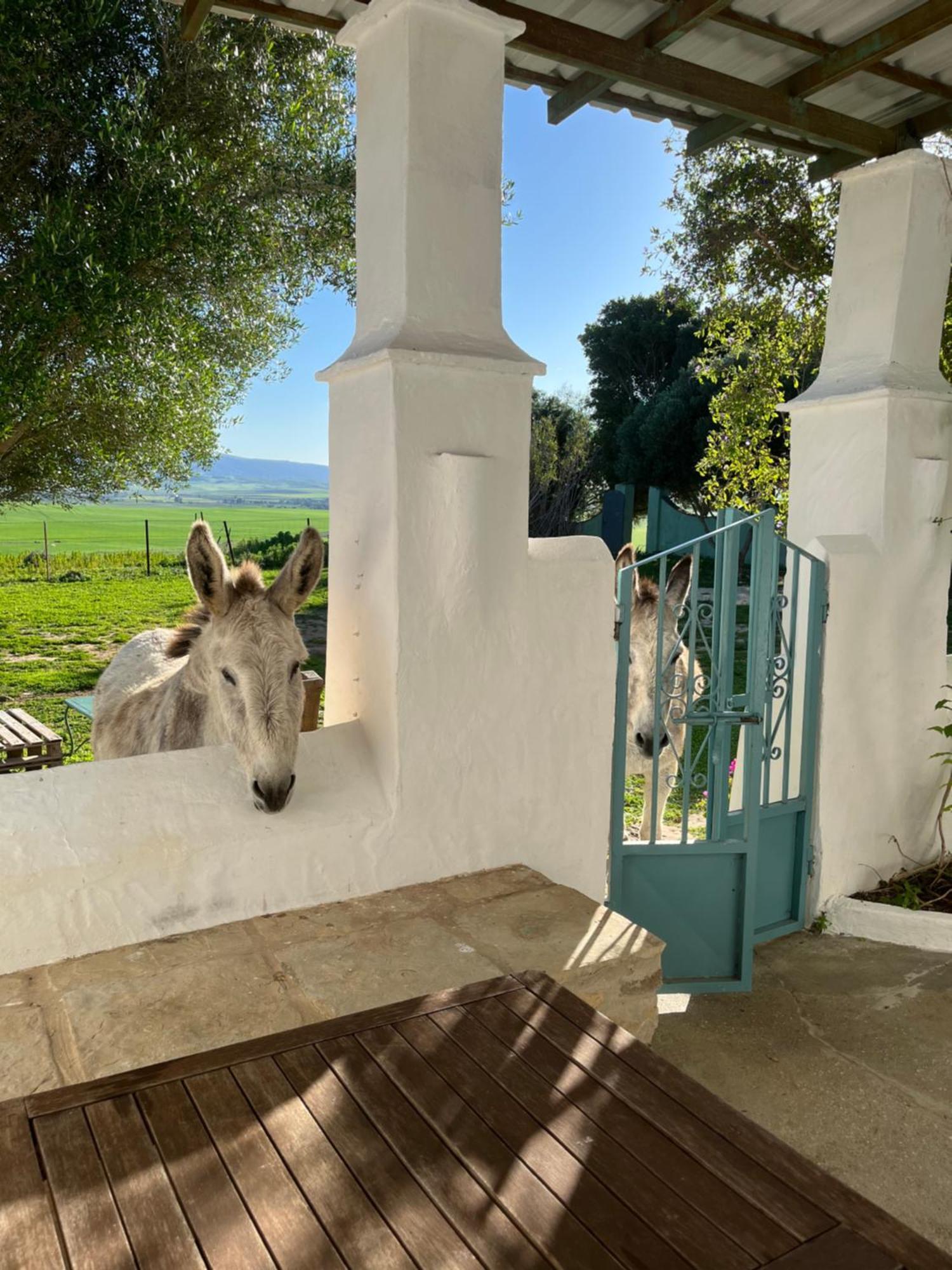 La Casa De Geranios *