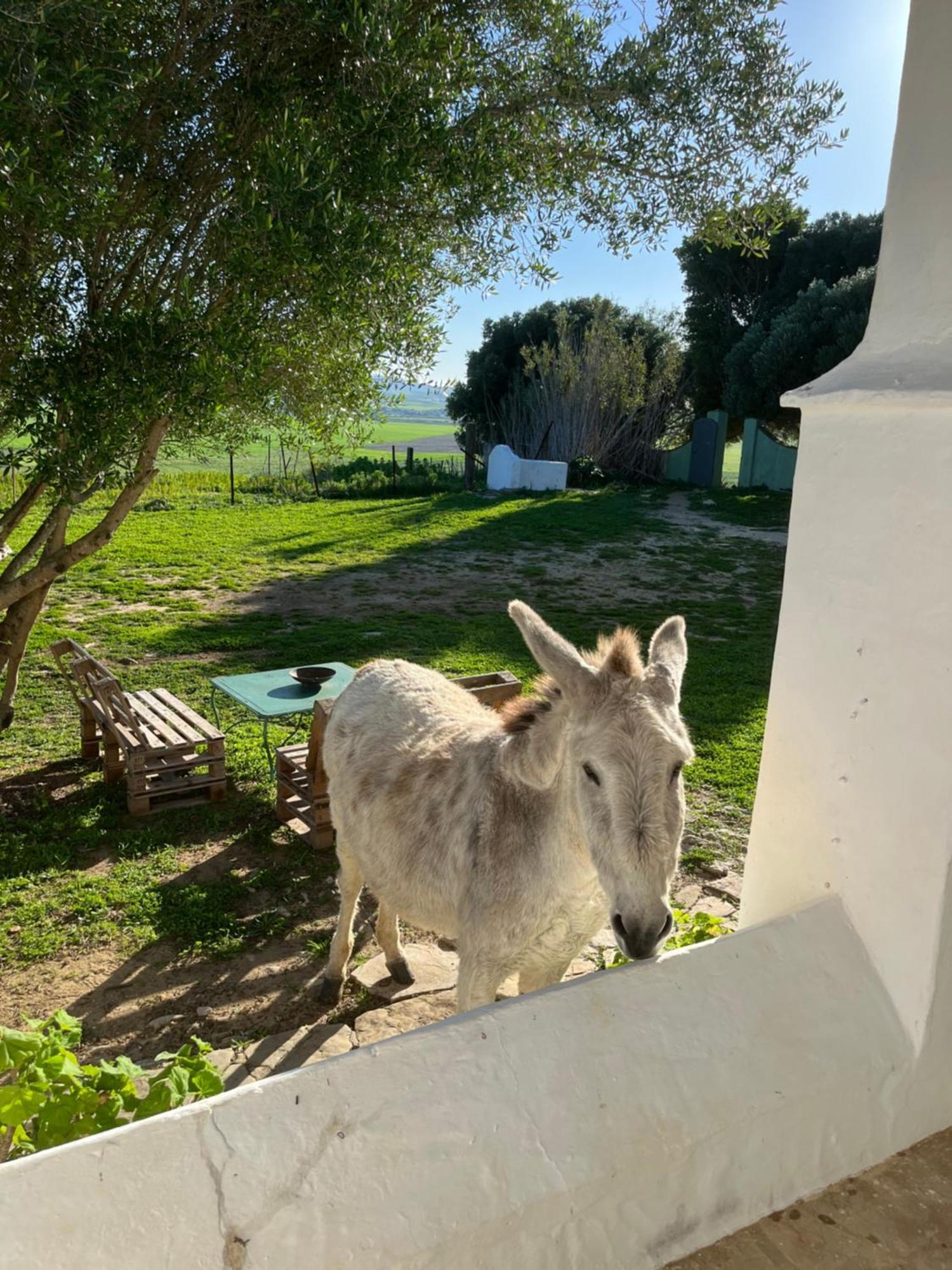 Сasa de vacaciones La Casa De Geranios Tahivilla