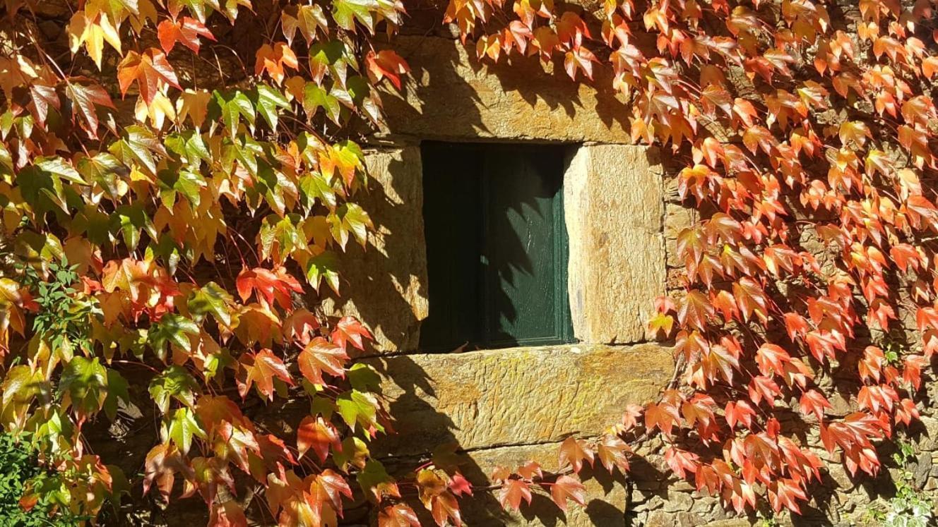 Pazo 