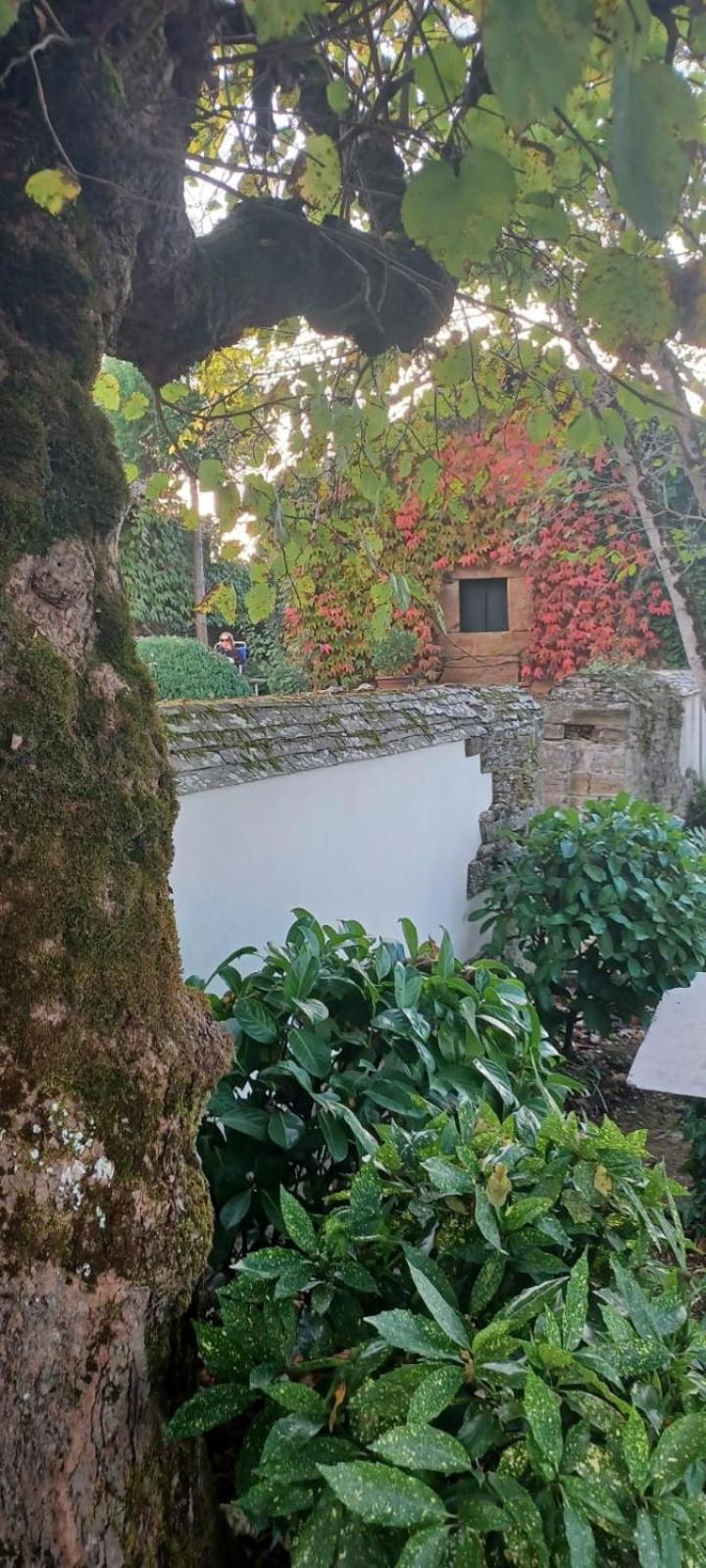 Pazo 