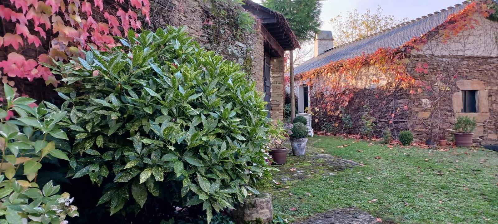 Pazo 