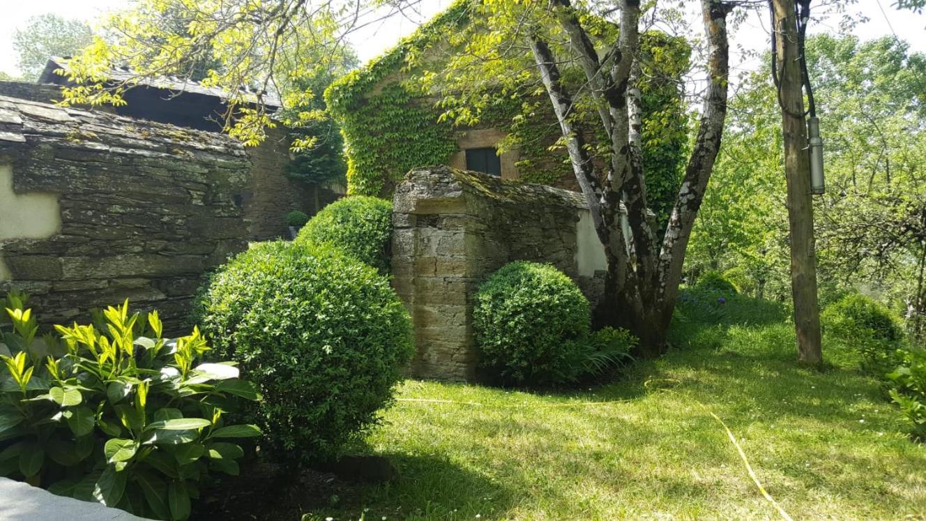 Pazo 