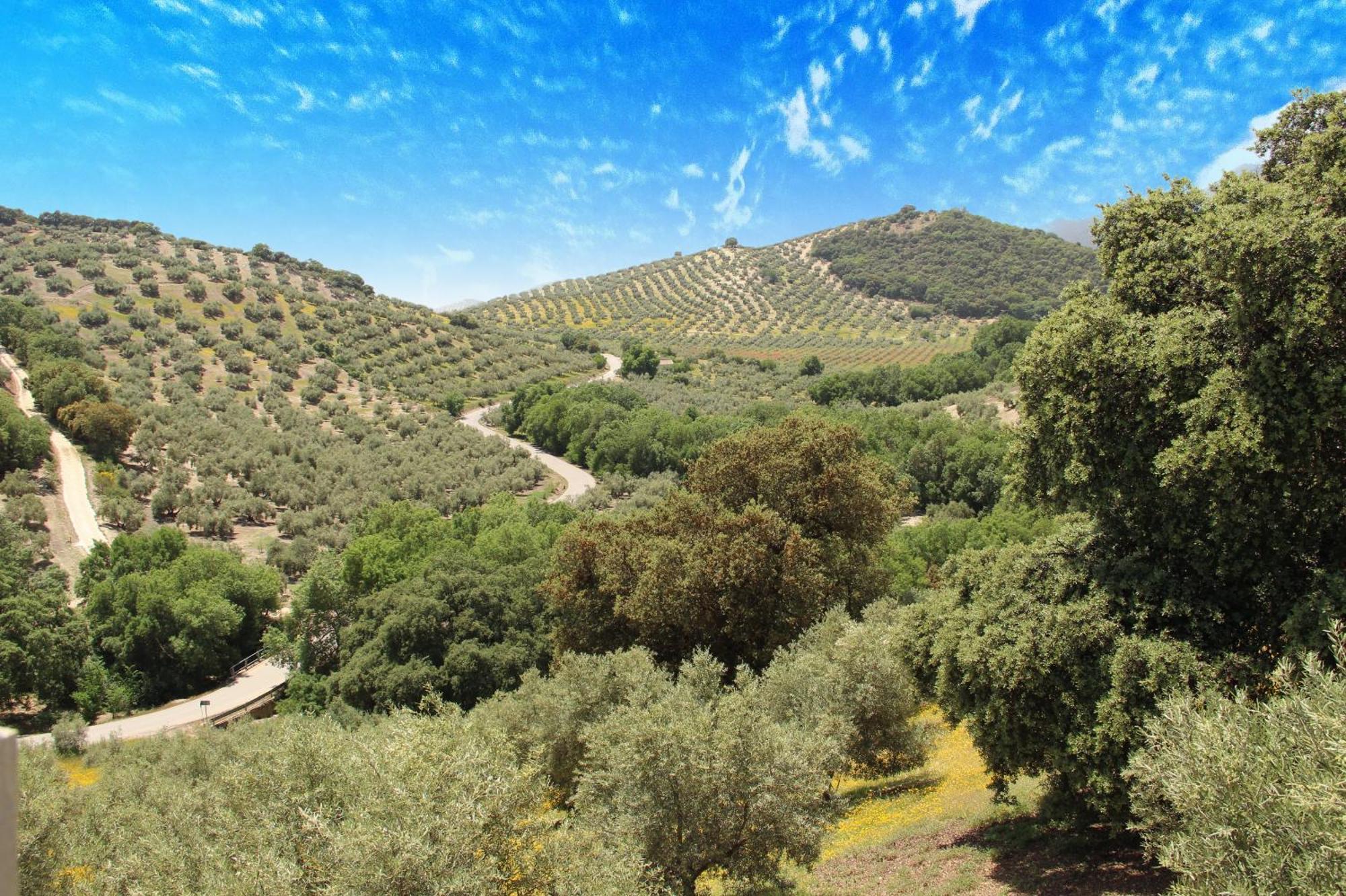 Casa rural Cortijo La Presa Priego de Córdoba
