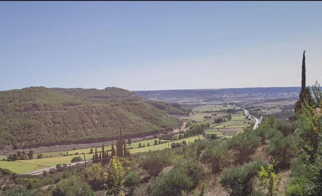 La Bodega, Ofrece Cata De Vino Gratis Apartment