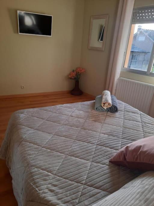 Casa Dalo Ii Apartamento Folgoso do Courel
