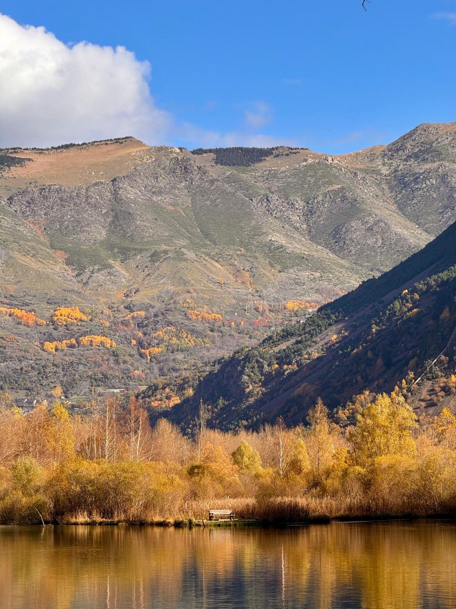 L'auet * Erill la Vall