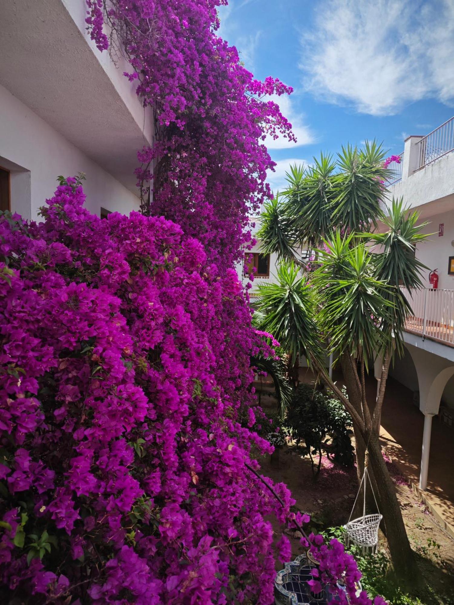 El Penell Estudi Mestral Apartment Vilamaniscle