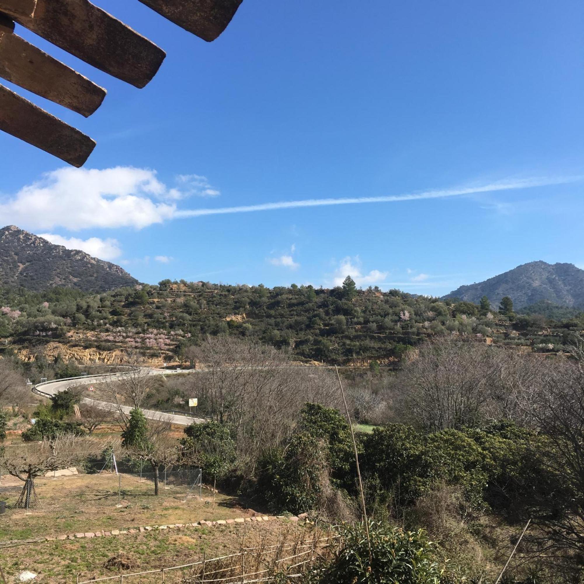 Сasa de vacaciones La Casita De La Dormilona Algimia de Almonacid