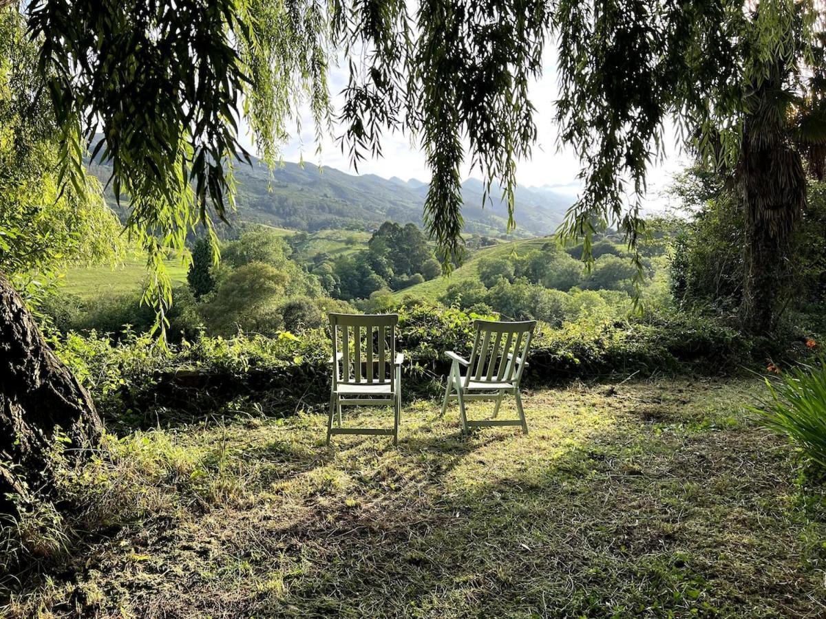 Willow Tree House - Hidden In The Perfect Place Noriega