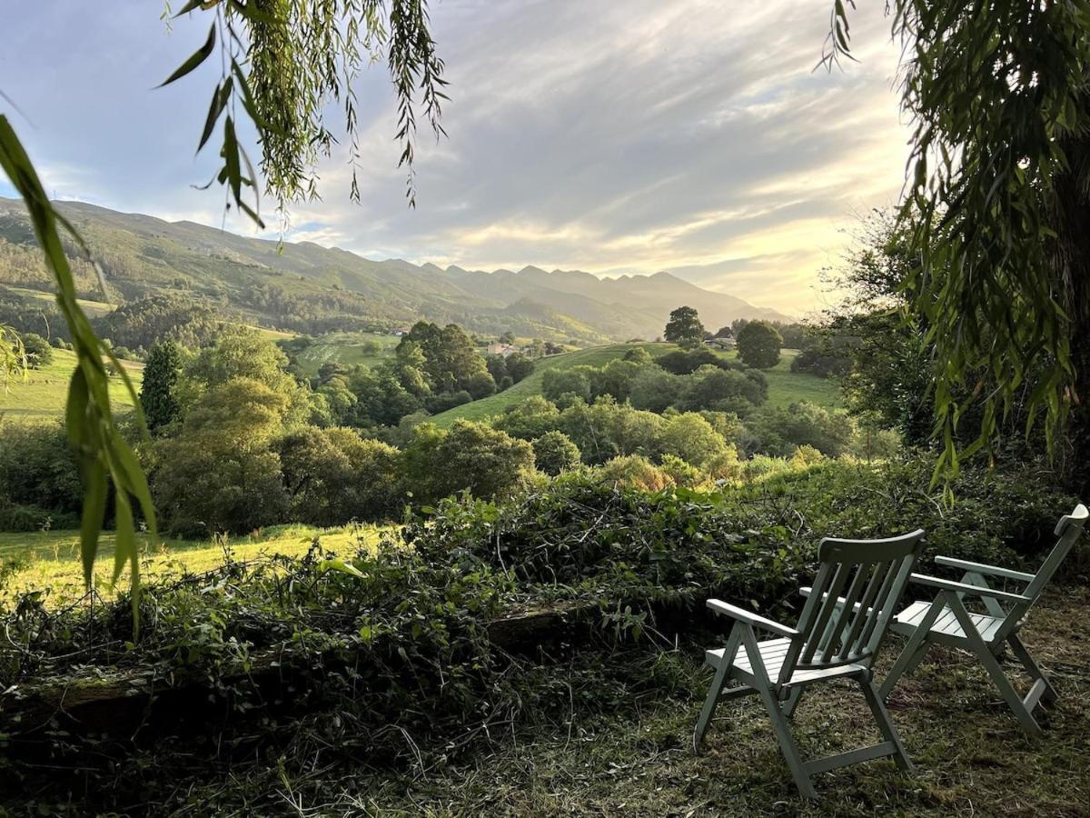 Willow Tree House - Hidden In The Perfect Place