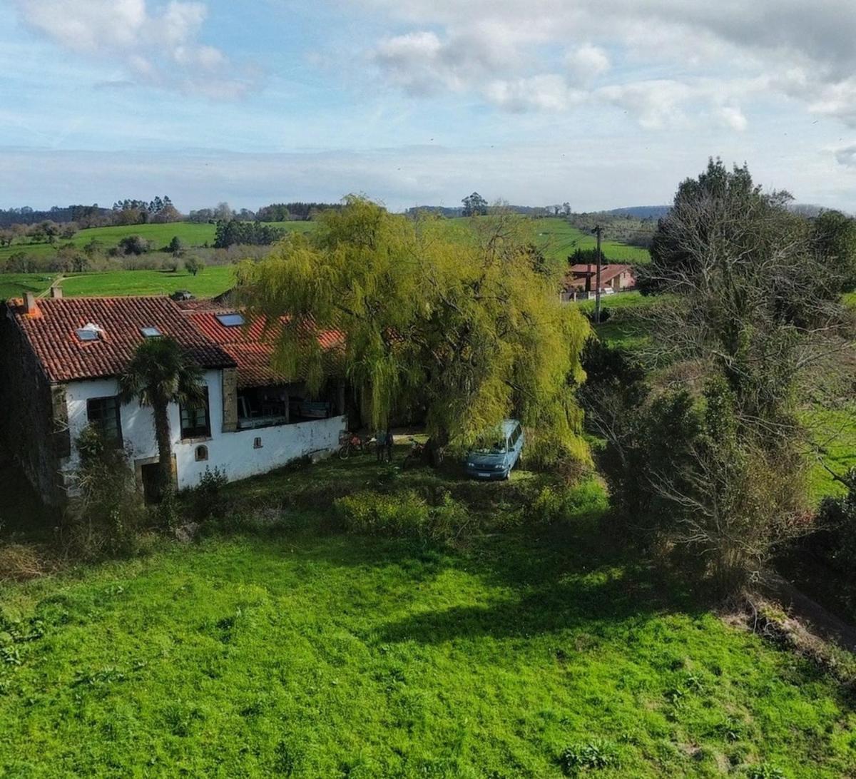 Willow Tree House - Hidden In The Perfect Place * Noriega