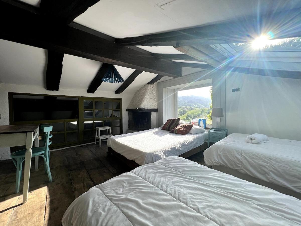Willow Tree House - Hidden In The Perfect Place