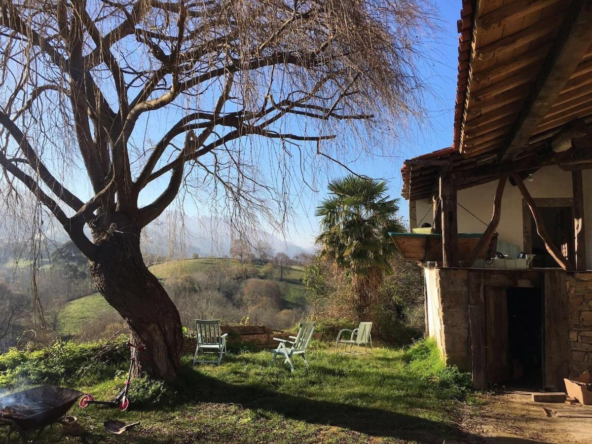 Willow Tree House - Hidden In The Perfect Place *