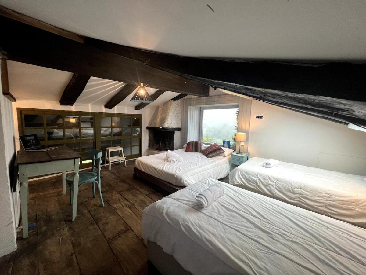 Willow Tree House - Hidden In The Perfect Place