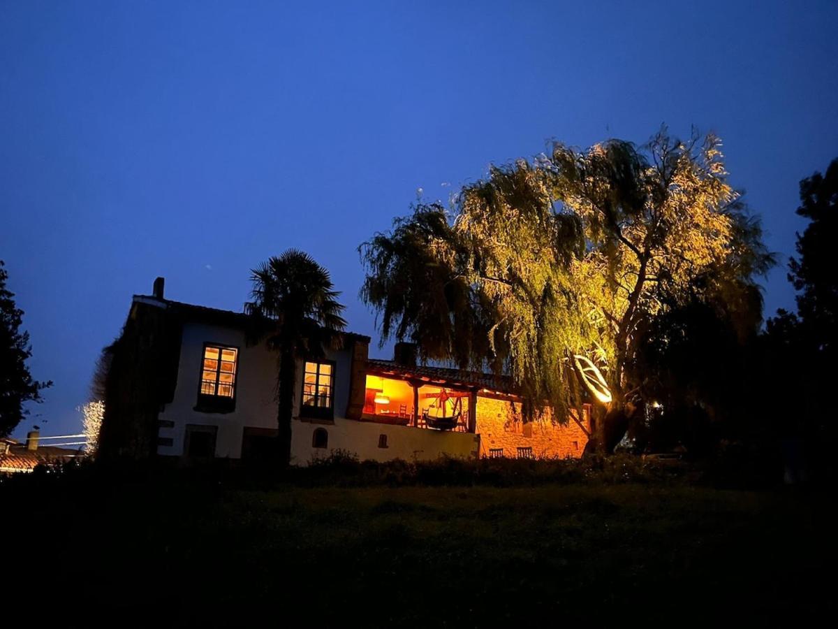 Willow Tree House - Hidden In The Perfect Place Noriega