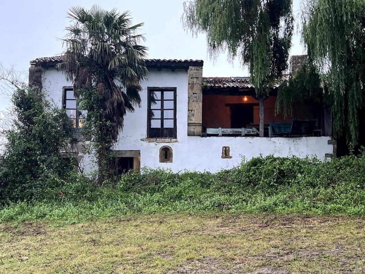 Willow Tree House - Hidden In The Perfect Place Villa