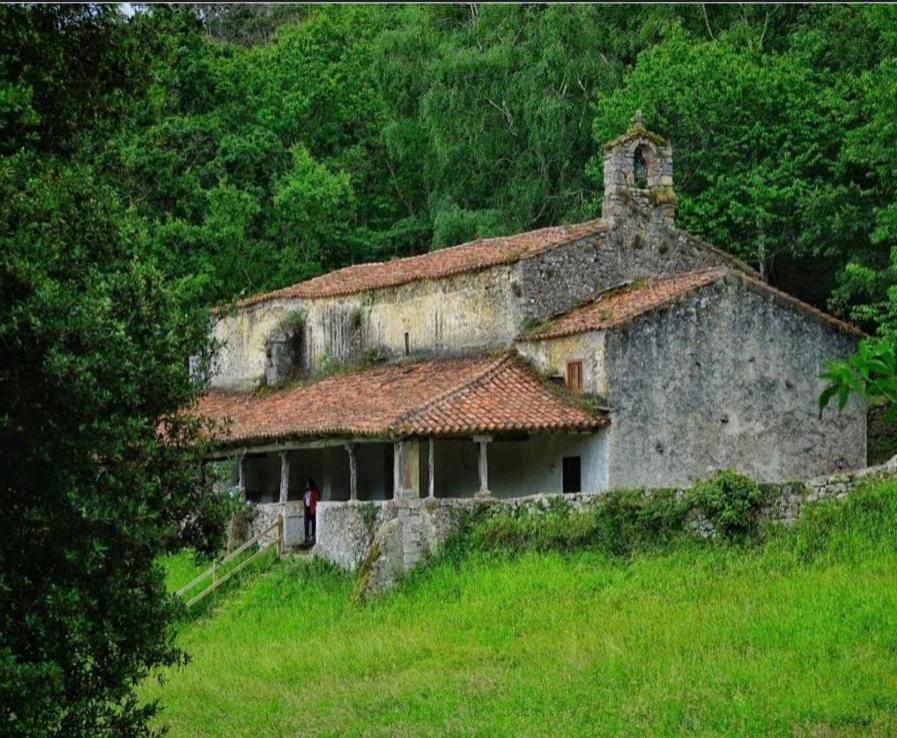 Willow Tree House - Hidden In The Perfect Place *