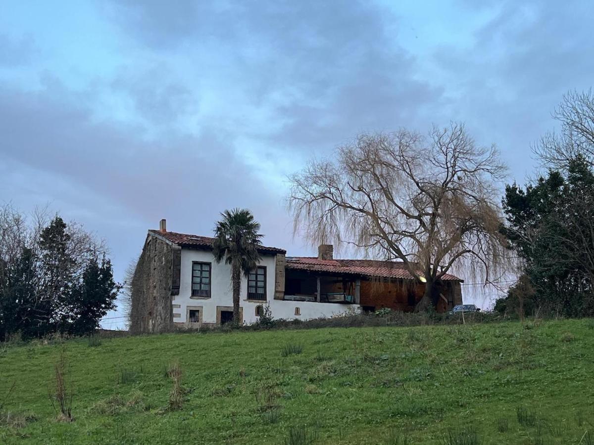 Willow Tree House - Hidden In The Perfect Place Villa *