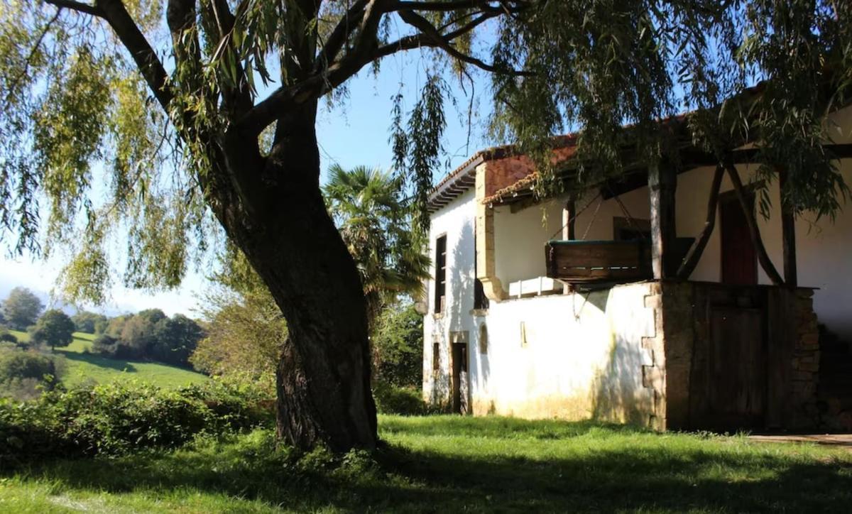 Willow Tree House - Hidden In The Perfect Place *