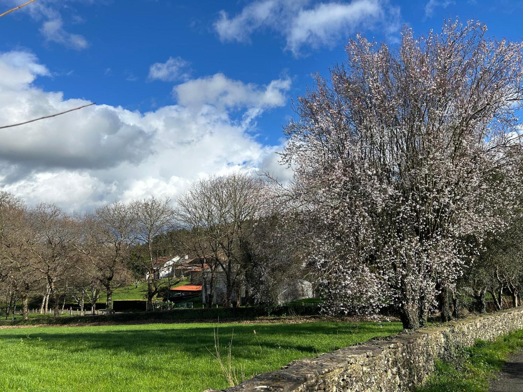 Casa Otilia - Rural - Camino De Santiago -