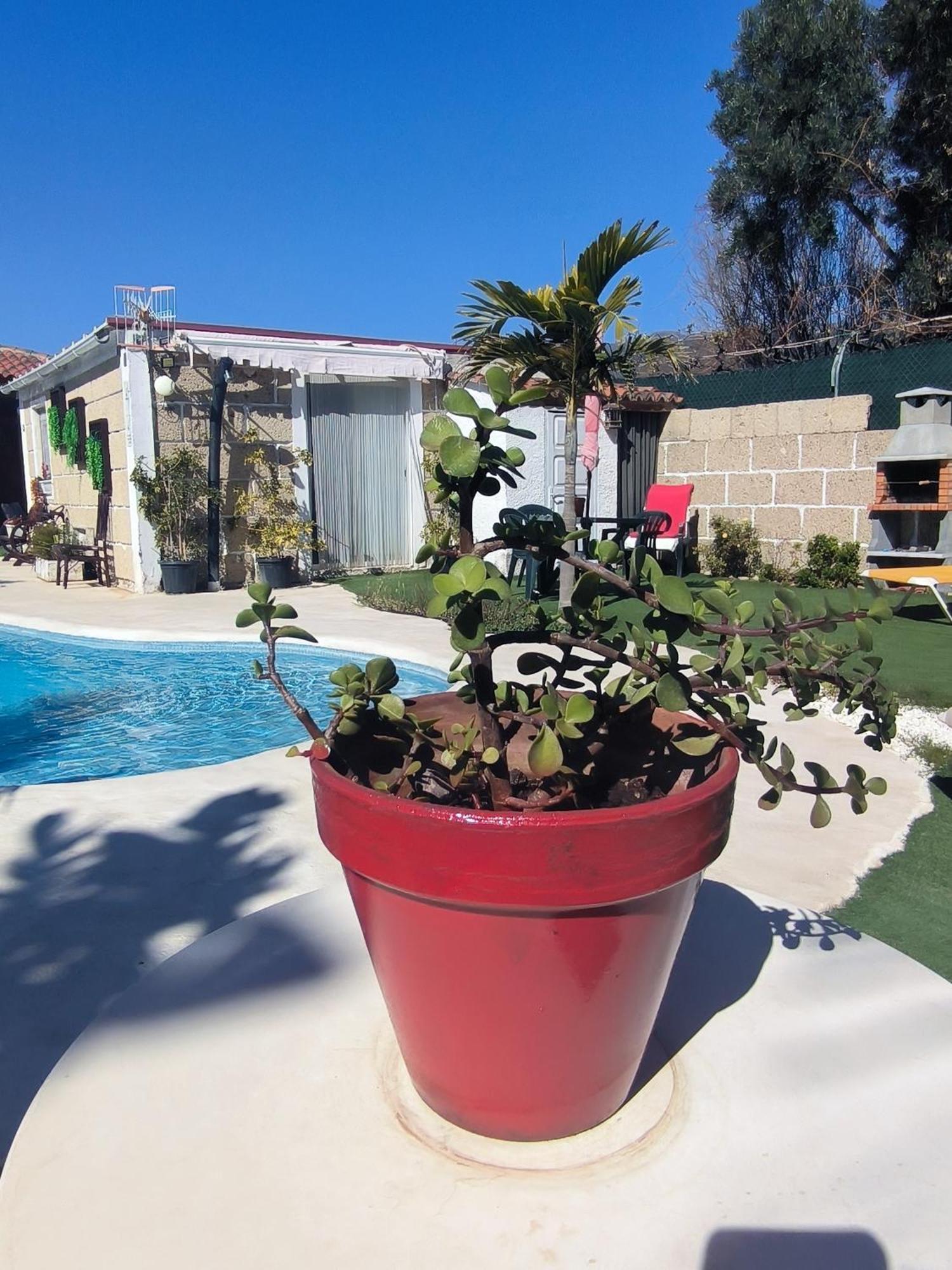 Apartment Daita 2 Daita 3 Granadilla De Abona