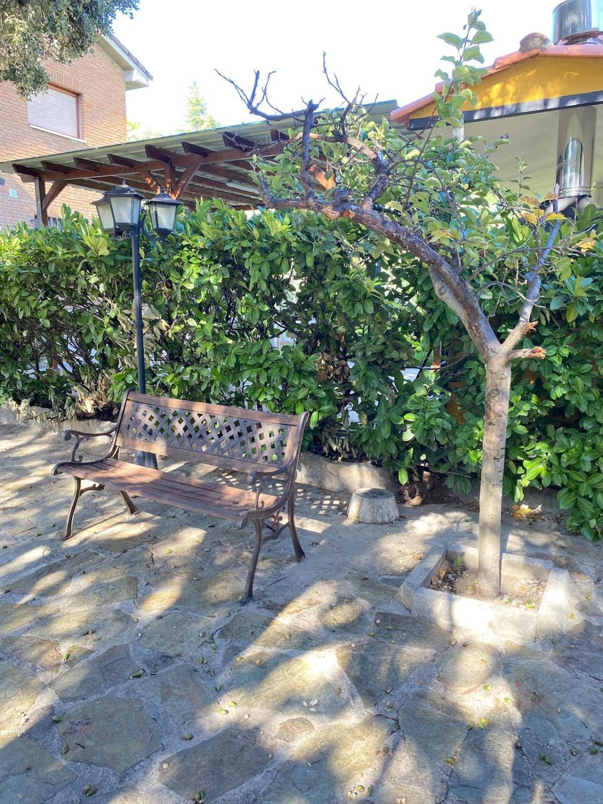 Quinta *
