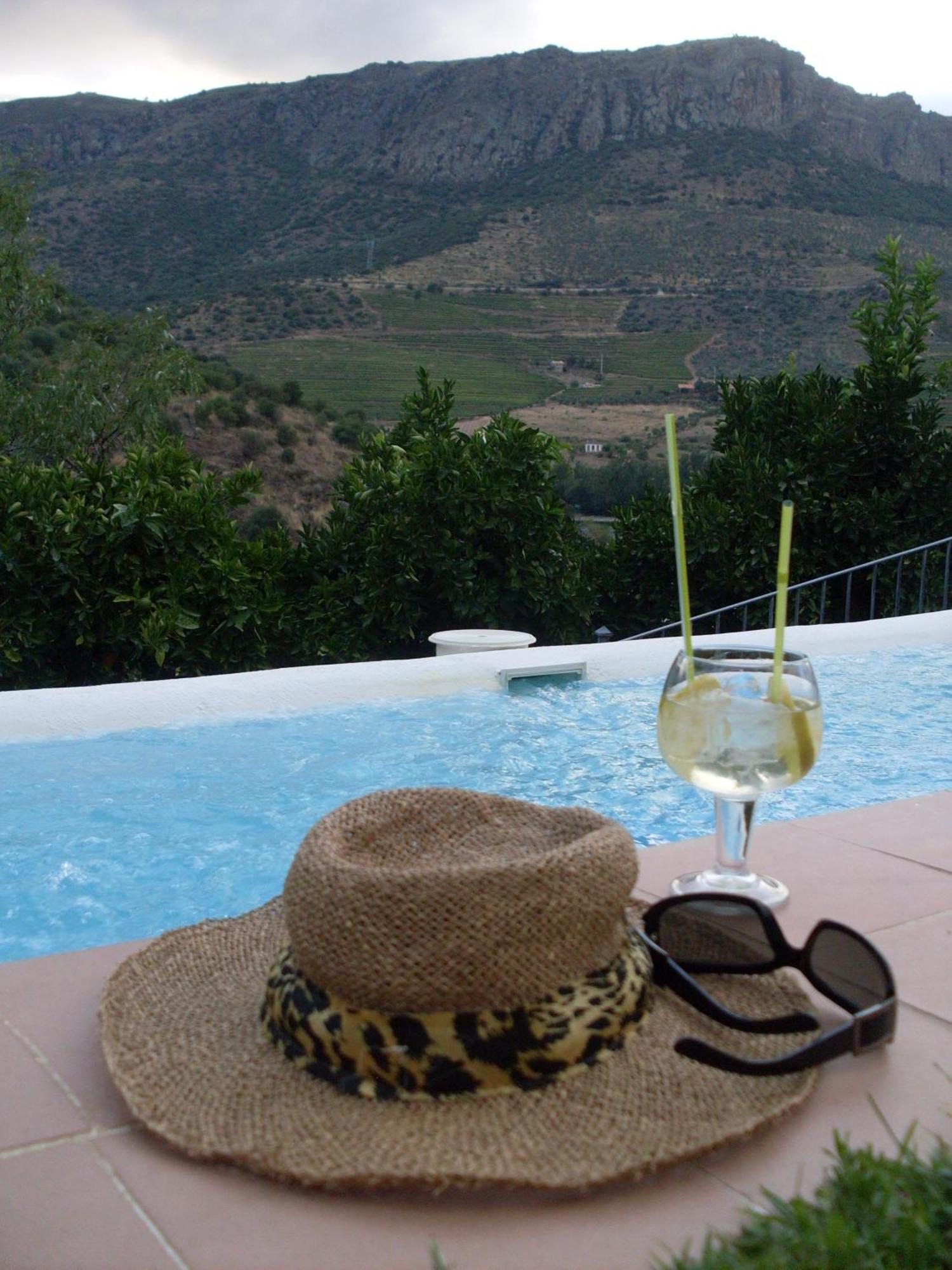 Real Quinta De La Concepcion Hinojosa de Duero