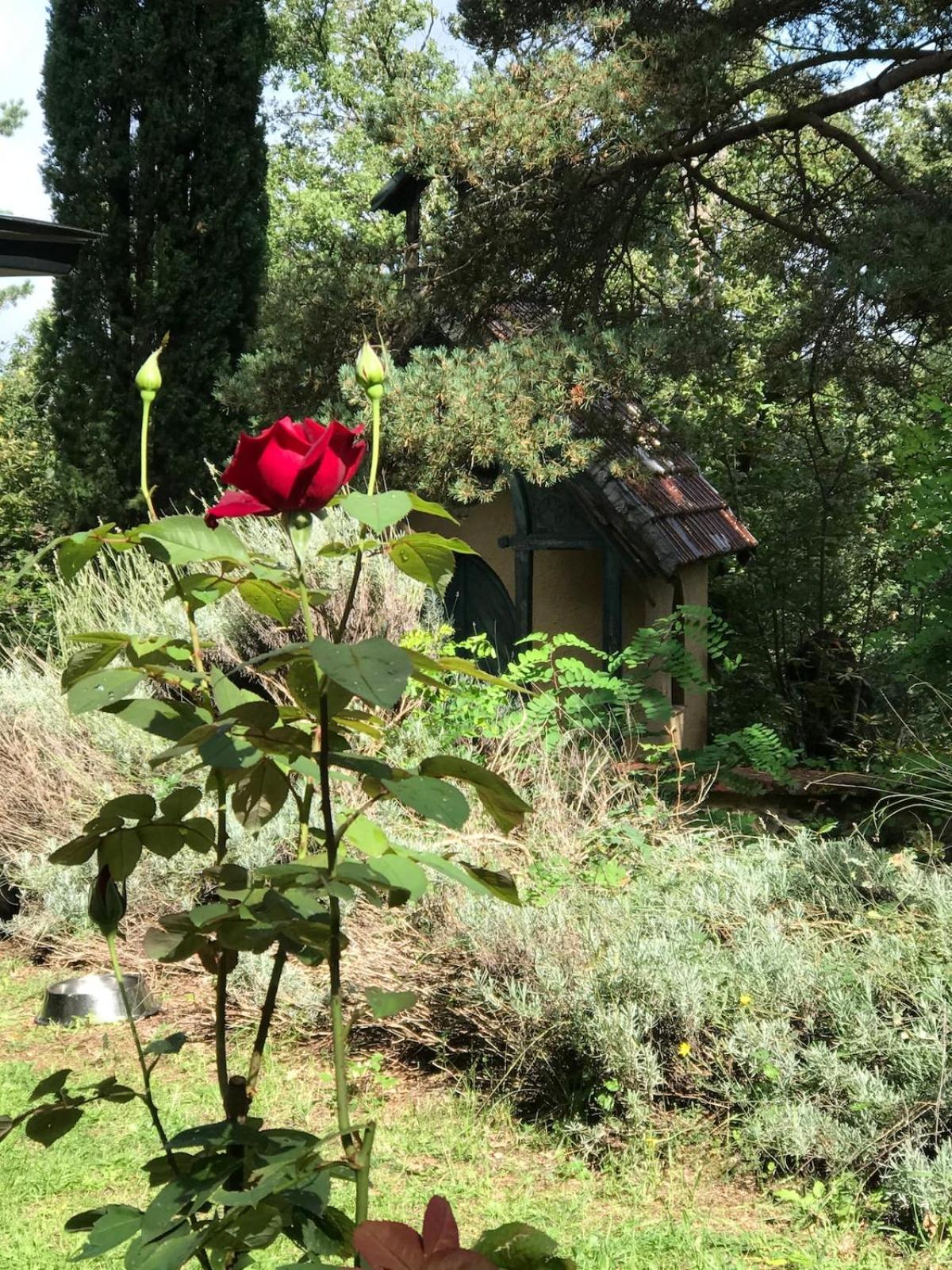 Natura Villa Viladrau