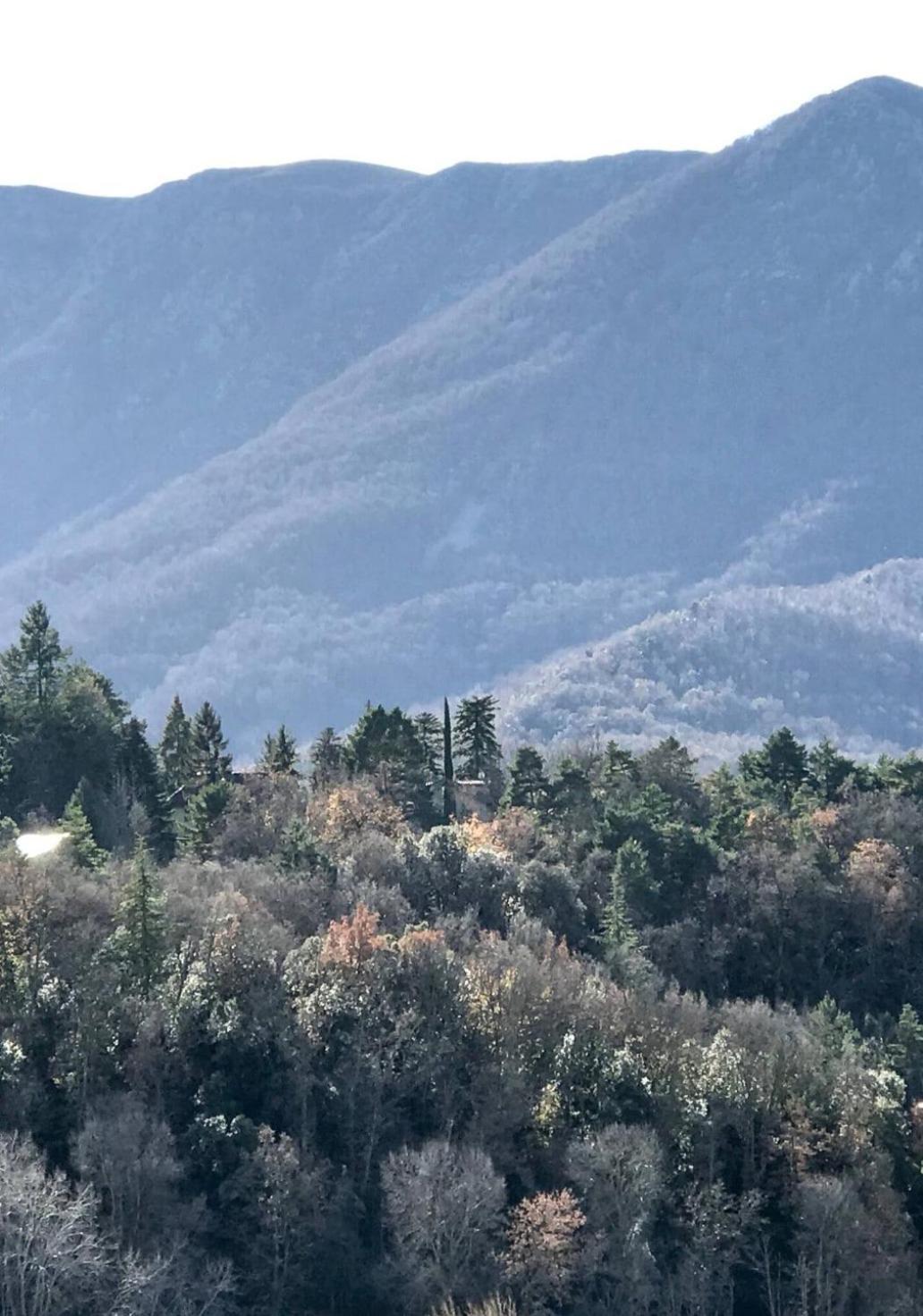 Villa Natura Viladrau