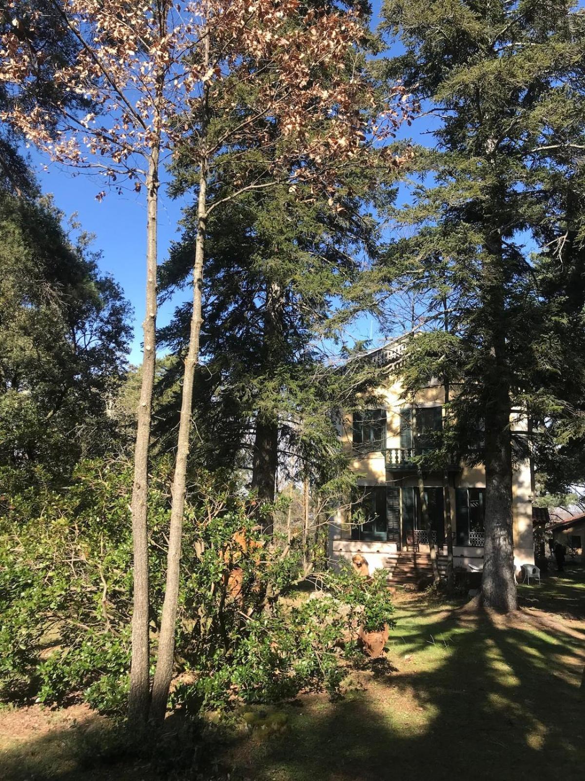 Natura Villa
