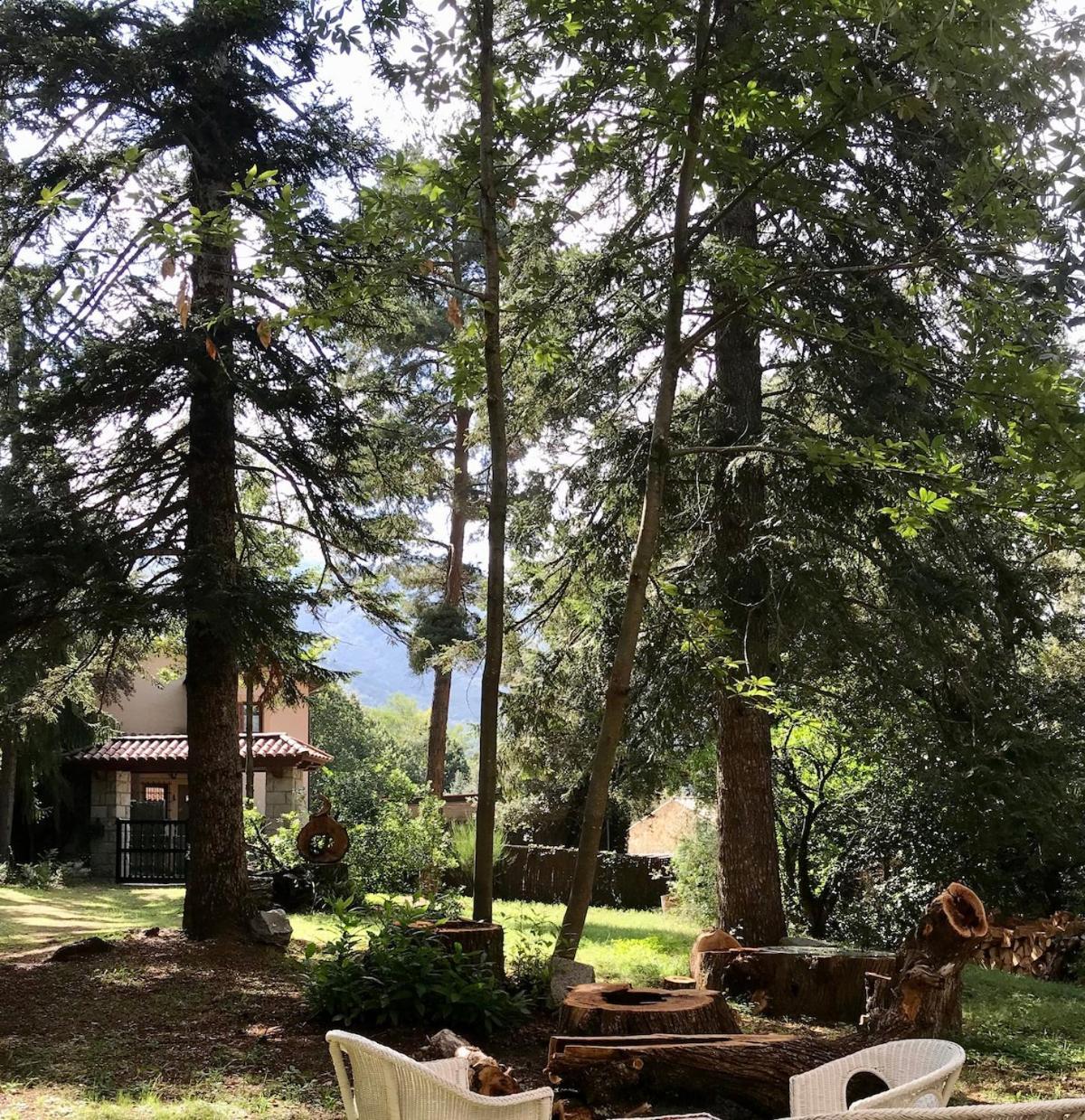 Villa Natura *