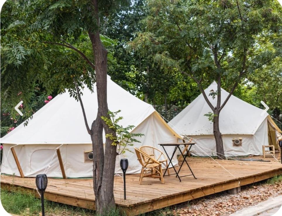 Glamping Camping