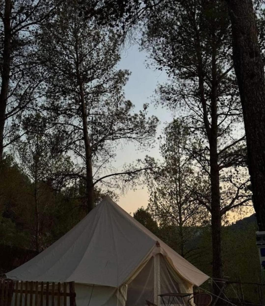 Glamping Camping