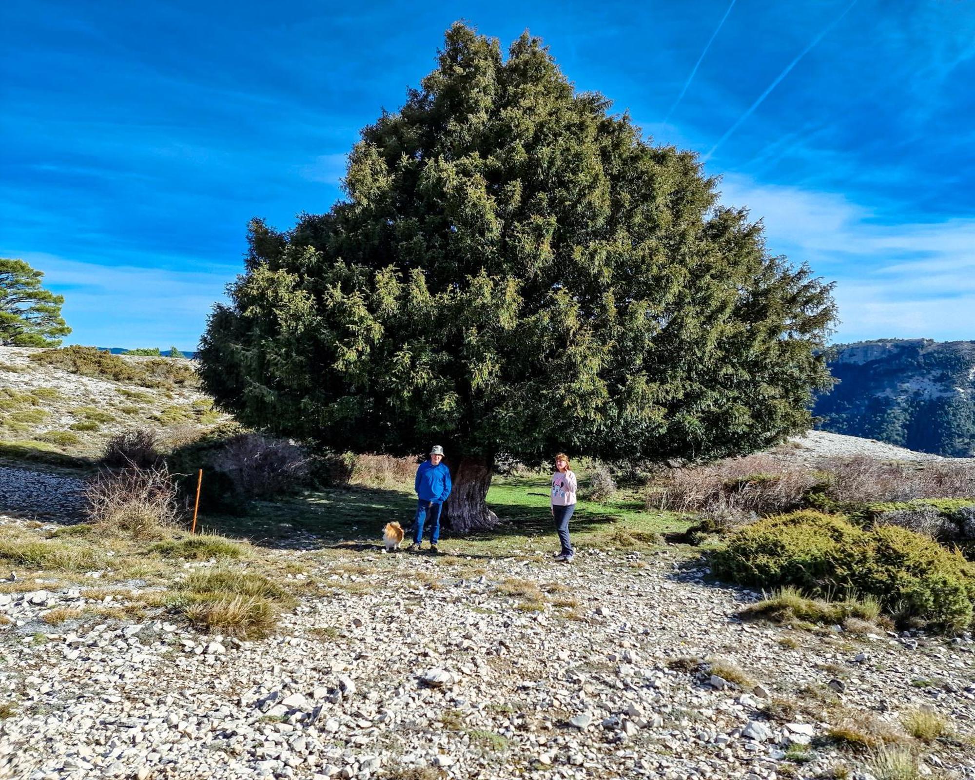 En Pleno Parque Natural Del Río Mundo Casa rural *