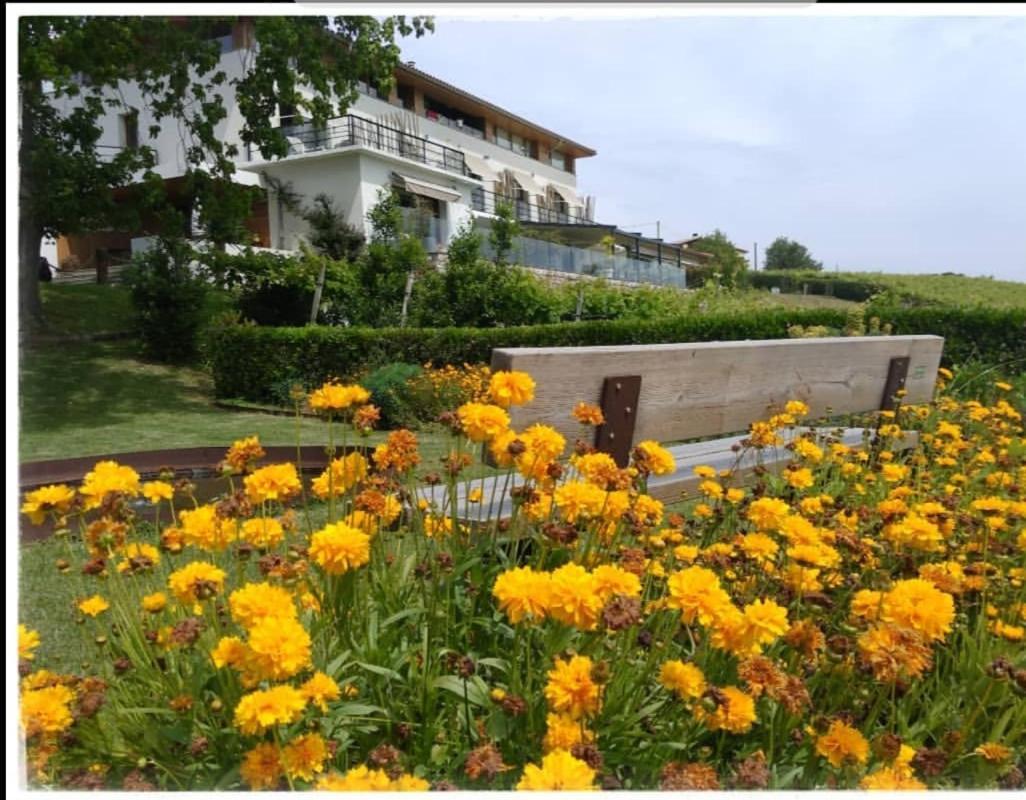 San Prudentzio Hotel 2*