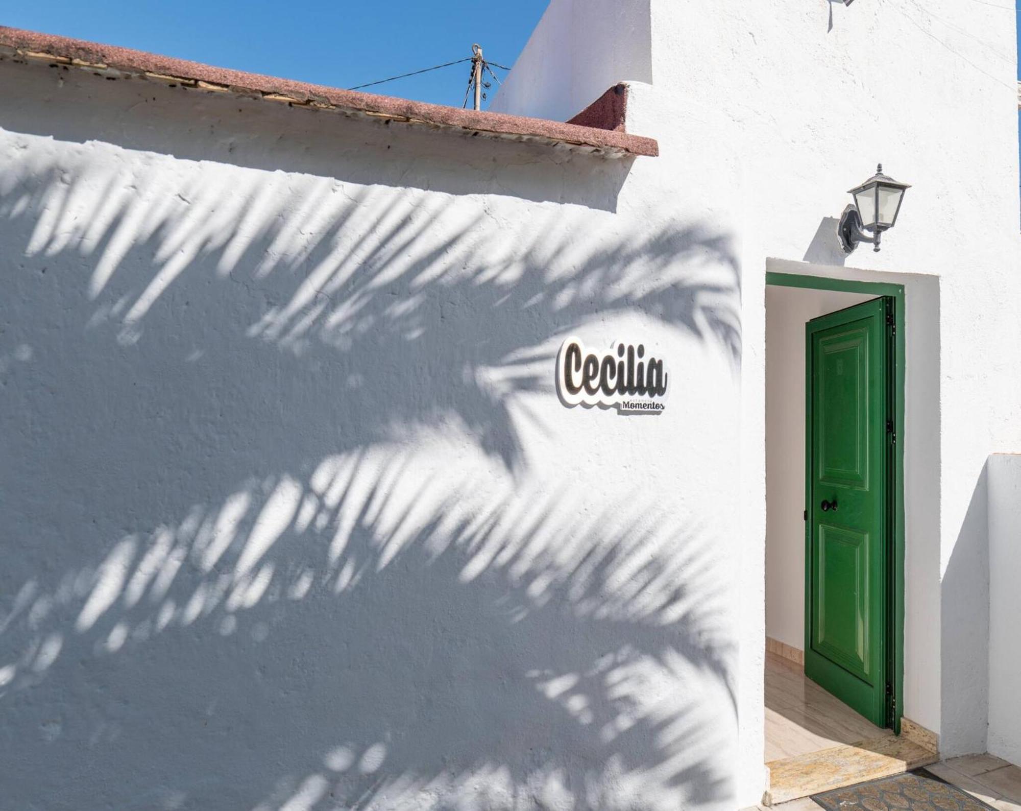 Cecilia Сasa de vacaciones La Orotava