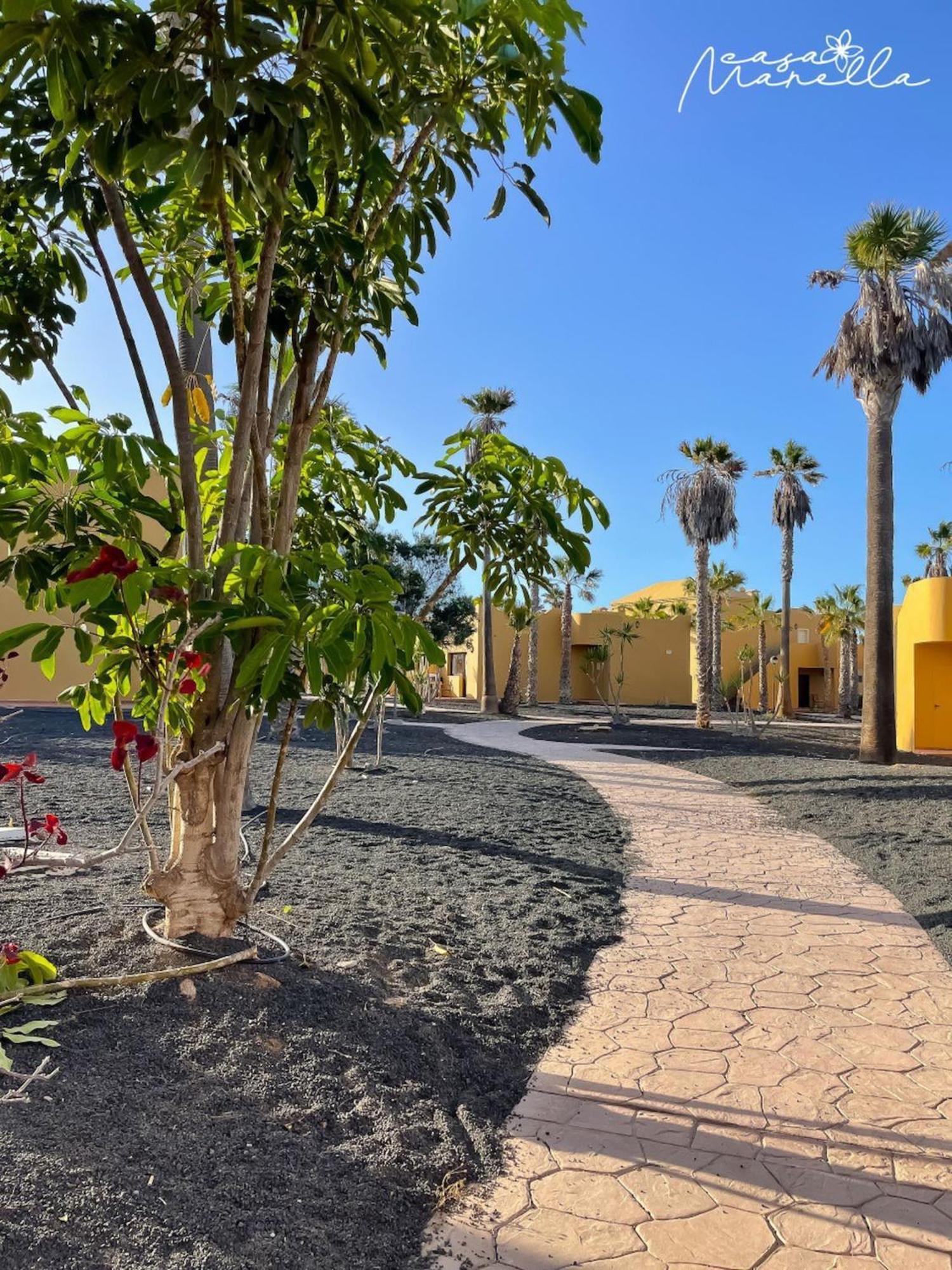 Oasis Casa Marella Corralejo