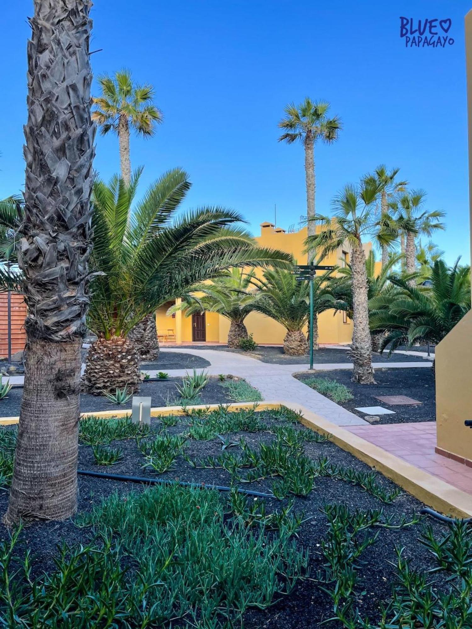 Apartamento Two Bedrooms Oasi Blue Papagayo By Rentalfue Corralejo