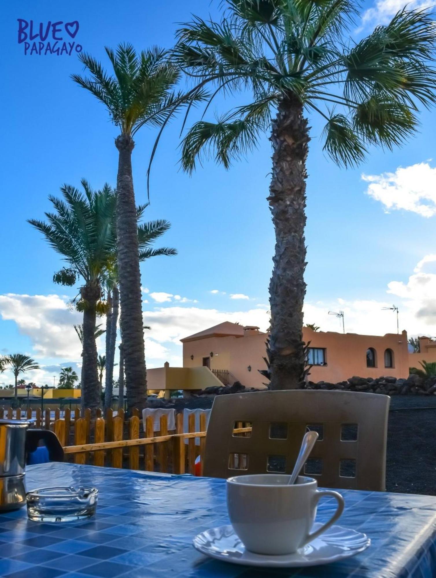 Apartamento Two Bedrooms Oasi Blue Papagayo By Rentalfue *