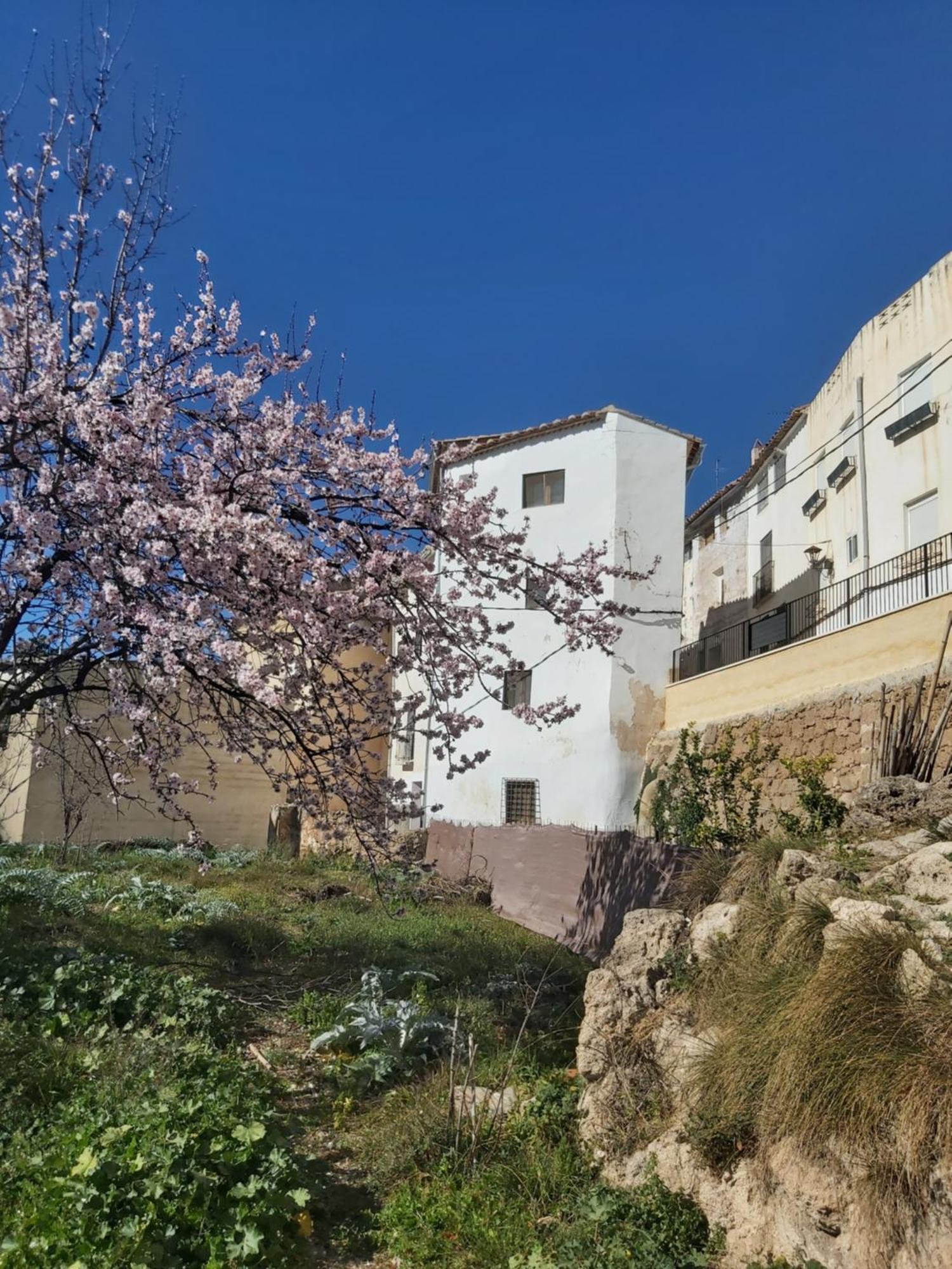 Candela De La Murtera Holiday home